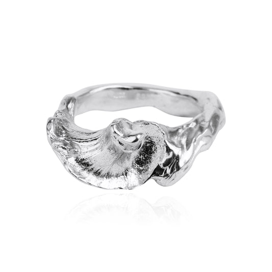 Seek Shelter Ring